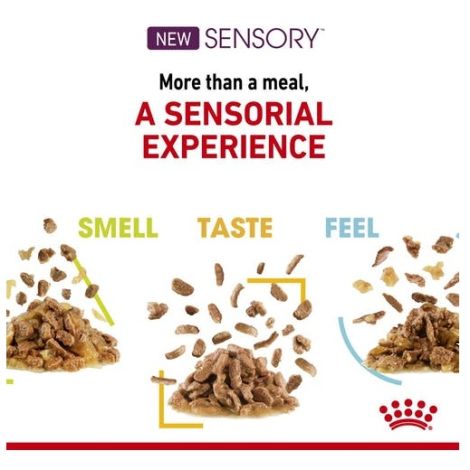 Royal Canin Sensory Feel w sosie karma mokra dla kotów dorosłych saszetka 85g - 4