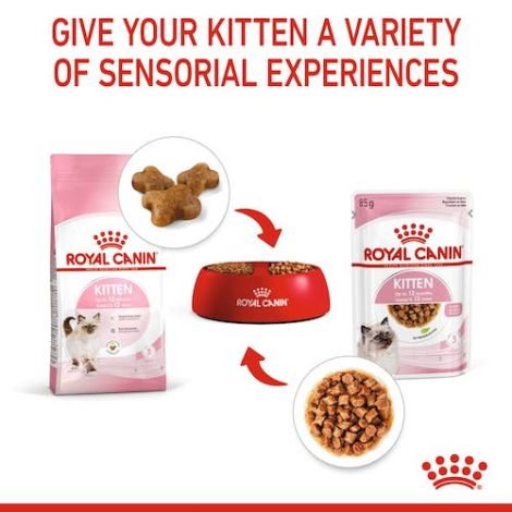 Royal Canin Kitten w galaretce karma mokra dla kociąt do 12 miesiąca życia saszetka 85g - 4