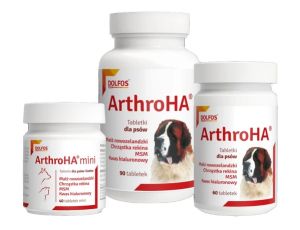 Arthro HA 60 tabletek - 2