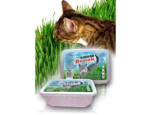 Super Benek Trawka szybkorosnąca dla kota 150g
