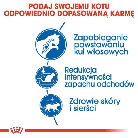 Royal Canin Indoor Long Hair karma sucha dla kotów dorosłych, długowłose, przebywających wyłącznie w domu 2kg - 4