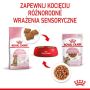 Royal Canin Kitten Sterilised karma mokra w sosie dla kociąt od 6 do 12 miesiąca życia, sterylizowanych saszetka 85g - 4