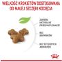 Royal Canin Kitten karma sucha dla kociąt od 4 do 12 miesiąca życia 2kg - 5