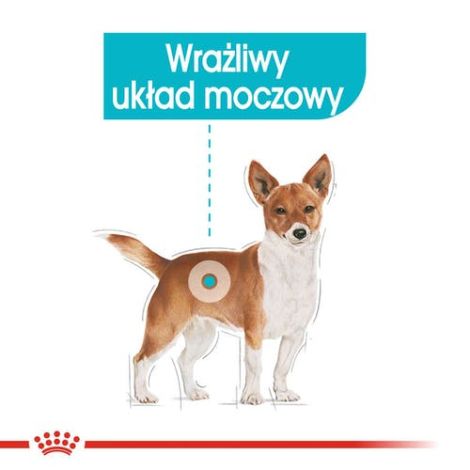 Royal Canin Urinary Care karma mokra dla psów dorosłych, wszystkich ras, wspierająca układ moczowy, pasztet saszetka 85g - 2