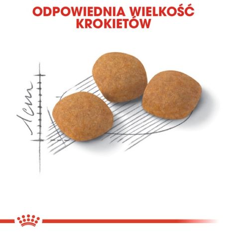 Royal Canin Exigent Protein Preference karma sucha dla kotów dorosłych, wybrednych, kierujących się białkiem 400g - 5