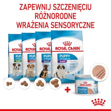 Royal Canin Starter Mother&Babydog karma mokra - mus, dla suk w czasie ciąży, laktacji oraz szczeniąt puszka 195g - 4