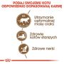 Royal Canin Ageing +12 Sterilised karma sucha dla kotów dojrzałych, sterylizowanych 4kg - 5