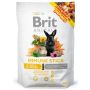 Brit Animals Immune Stick for rodents 80g - 2