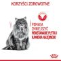 Royal Canin Dental Care karma sucha dla kotów dorosłych, redukująca odkładanie kamienia nazębnego 1,5kg - 3