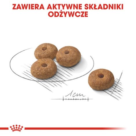 Royal Canin Mini Sterilised karma sucha dla psów dorosłych, ras małych, sterylizowanych 1kg - 5