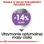 Royal Canin Mini Sterilised karma sucha dla psów dorosłych, ras małych, sterylizowanych 1kg - 4