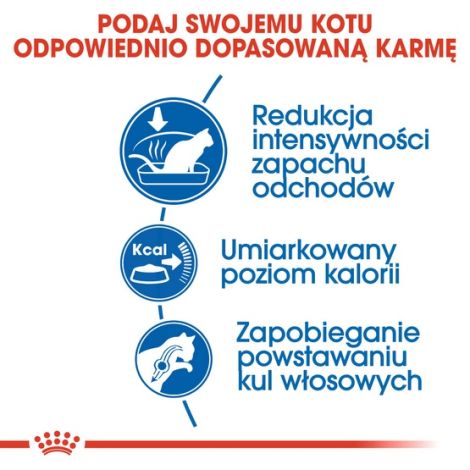 Royal Canin Indoor karma sucha dla kotów dorosłych, przebywających wyłącznie w domu 2kg - 5