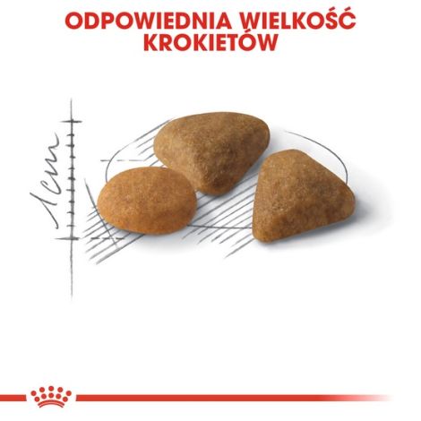 Royal Canin Savour Exigent karma sucha dla kotów dorosłych, wybrednych, kierujących się teksturą krokieta 2kg - 5