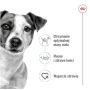 Royal Canin Mini Adult karma sucha dla psów dorosłych, ras małych 8kg - 2