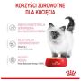 Royal Canin Kitten pasztet (loaf) karma mokra dla kociąt do 12 miesiąca życia saszetka 85g - 3