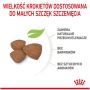 Royal Canin Mini Puppy karma sucha dla szczeniąt, od 2 do 10 miesiąca życia, ras małych 2kg - 4