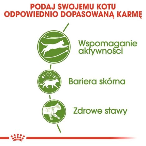 Royal Canin Outdoor karma sucha dla kotów dorosłych, wychodzących na zewnątrz 400g - 5