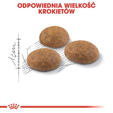 Royal Canin Outdoor karma sucha dla kotów dorosłych, wychodzących na zewnątrz 400g - 6