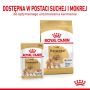 Royal Canin Pomeranian Adult karma mokra dla psów dorosłych rasy szpic miniaturowy, pasztet saszetka 85g - 4