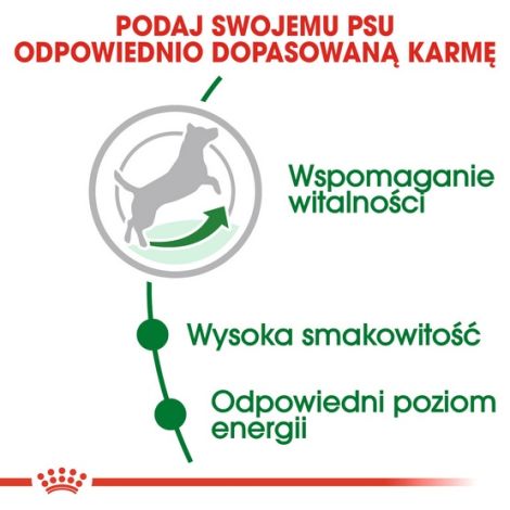 Royal Canin Mini Adult karma mokra w sosie dla psów dorosłych, ras małych saszetka 85g - 4