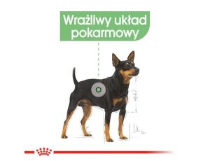 Royal Canin Digestive Care karma mokra dla psów dorosłych, wszystkich ras o wrażliwym przewodzie pokarmowym saszetka 85g - 2