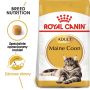 Royal Canin Maine Coon Adult karma sucha dla kotów dorosłych rasy maine coon 10kg