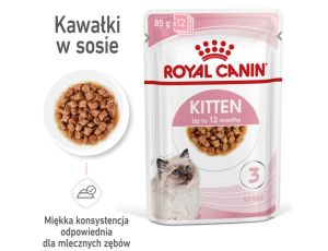 Royal Canin Feline Kitten Multipack karma mokra dla kociąt do 12 miesiąca życia saszetki 4x85g - 2