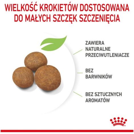 Royal Canin Maxi Puppy karma sucha dla szczeniąt, od 2 do 15 miesiąca życia, ras dużych 15kg - 2