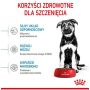 Royal Canin Maxi Puppy karma sucha dla szczeniąt, od 2 do 15 miesiąca życia, ras dużych 15kg - 4