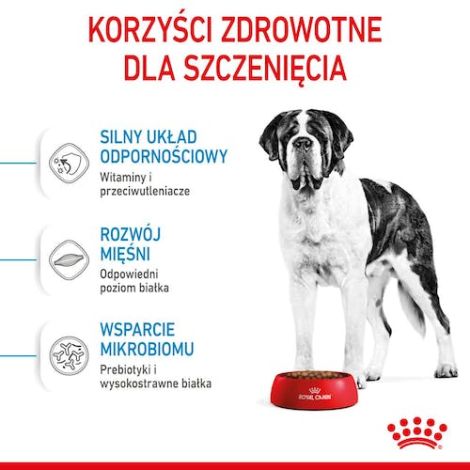 Royal Canin Giant Junior karma sucha dla szczeniąt  od 8 do 18/24 miesiąca życia, ras olbrzymich 15kg - 3