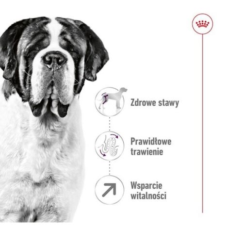 Royal Canin Giant Adult karma sucha dla psów dorosłych, od 18/24 miesiąca życia, ras olbrzymich PROMOCJA 18kg (15+3kg) - 3