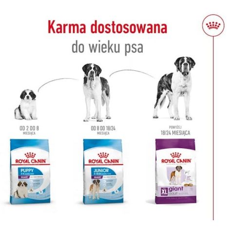 Royal Canin Giant Adult karma sucha dla psów dorosłych, od 18/24 miesiąca życia, ras olbrzymich PROMOCJA 18kg (15+3kg) - 6