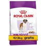 Royal Canin Giant Adult karma sucha dla psów dorosłych, od 18/24 miesiąca życia, ras olbrzymich PROMOCJA 18kg (15+3kg)