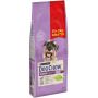 Purina Dog Chow Senior Jagnięcina 14kg (11+3kg gratis)