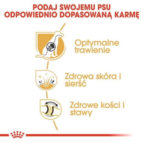 Royal Canin German Shepherd Adult karma sucha dla psów dorosłych rasy owczarek niemiecki 11kg - 6