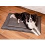 MIMIKO Pets Mata Velvet 100x70cm grafit - 3