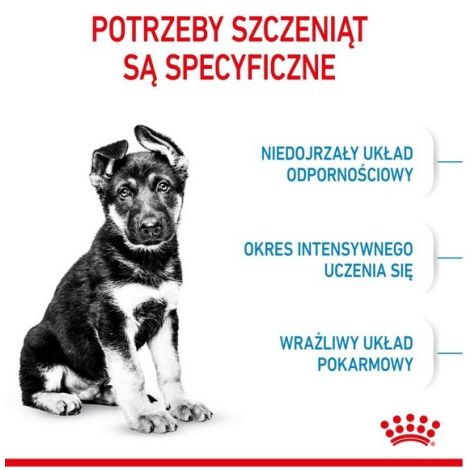 Royal Canin Maxi Puppy karma sucha dla szczeniąt, od 2 do 15 miesiąca życia, ras dużych 1kg - 3