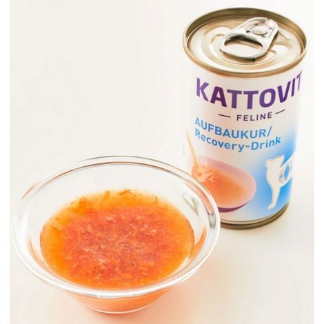 Kattovit Feline Drink Recovery napój 85g - 2