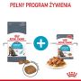 Royal Canin Urinary Care karma sucha dla kotów dorosłych, ochrona dolnych dróg moczowych 10kg - 5