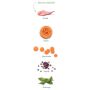 Amanova Dog Adult Digestive Divine Rabbit - królik 10kg - 5