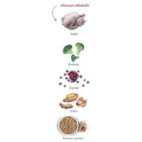 Amanova Dog Adult Obesity Turkey Delight - indyk 10kg - 4