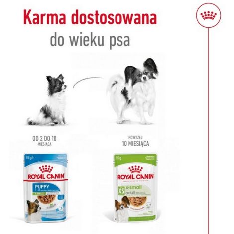 Royal Canin X-Small Adult w sosie saszetka 85g - 4