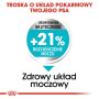 Royal Canin Mini Urinary Care karma sucha dla psów dorosłych, ras małych, ochrona dolnych dróg moczowych 3kg - 3