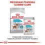 Royal Canin Mini Urinary Care karma sucha dla psów dorosłych, ras małych, ochrona dolnych dróg moczowych 3kg - 5