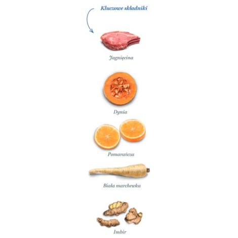 Amanova Dog Adult Mini Sensitive Delicious Lamb - jagnięcina 800g - 4