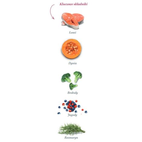 Amanova Dog Adult Mini Sensitive Salmon Deluxe - łosoś 800g - 4