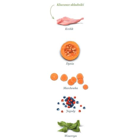 Amanova Dog Adult Mini Digestive Divine Rabbit - królik 800g - 4
