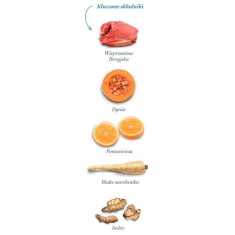 Amanova Dog Adult Mini Exigent Iberian Pork - wieprzowina 800g - 4
