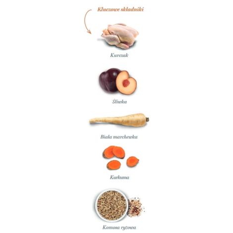 Amanova Dog Adult Mini Exquisite Chicken - kurczak 7kg - 4