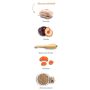 Amanova Dog Adult Mini Exquisite Chicken - kurczak 7kg - 4